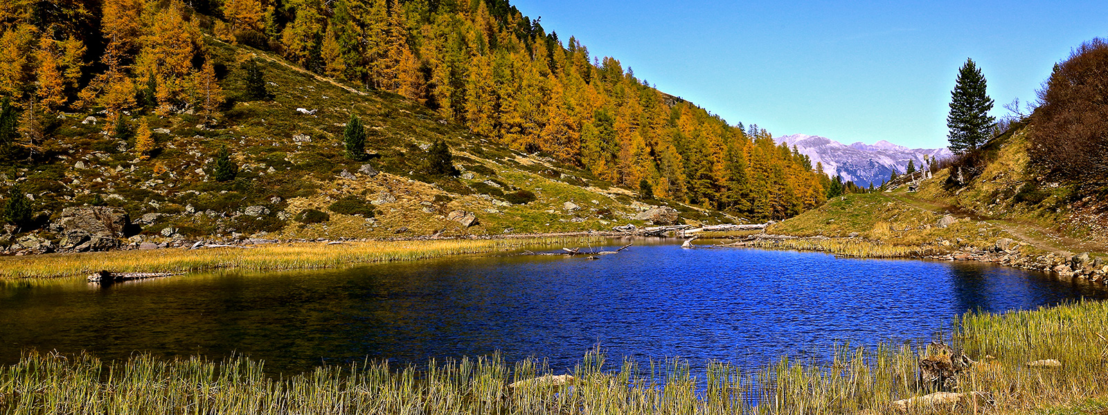 Herbstbild (Slider)